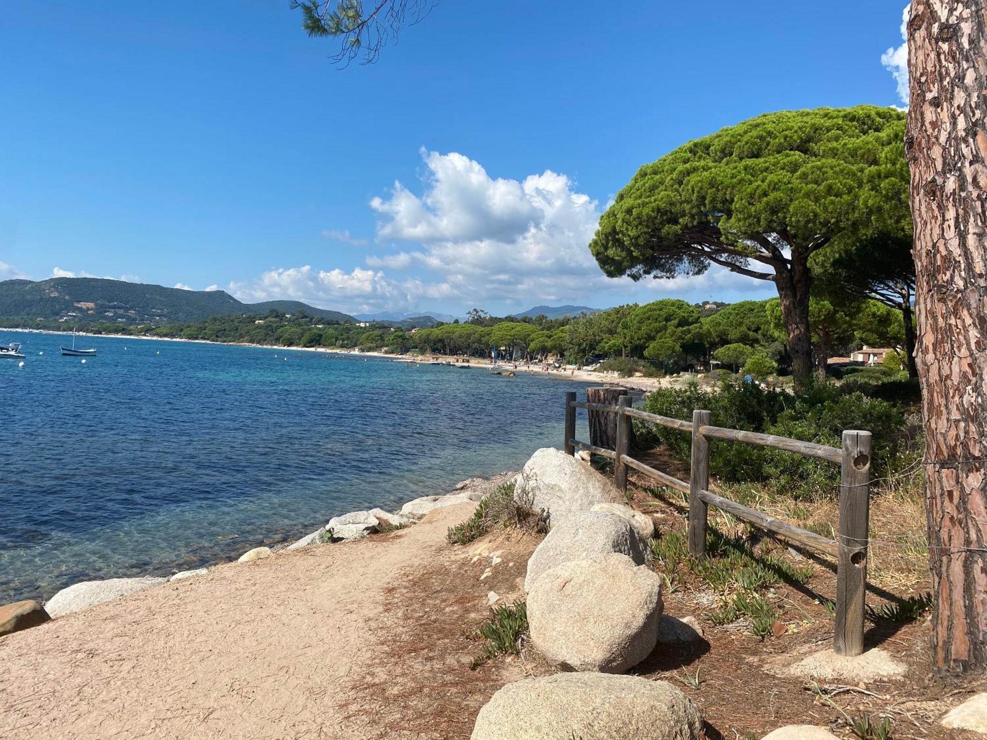 Marina Di Pinarello Mini 6 Personnes A 400 M De La Appartement Zonza